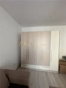 Inchiriere apartament 1 camera Timisoara Calea Urseni - foto 10