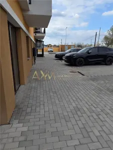 Vanzare SAD Timisoara Calea Sagului - foto 2