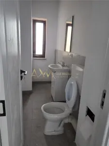 Vanzare SAD Timisoara Calea Sagului - foto 9