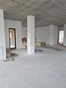 Inchiriere SAD Timisoara Calea Sagului - foto 12