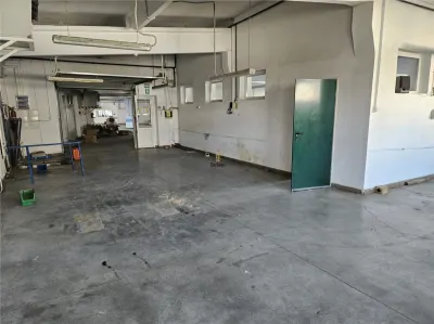 Exclusivitate - Proprietate Industriala De Vanzare - Productie - Depozitare - foto 8