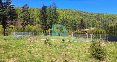 Vand teren constructii Bunloc - foto 3