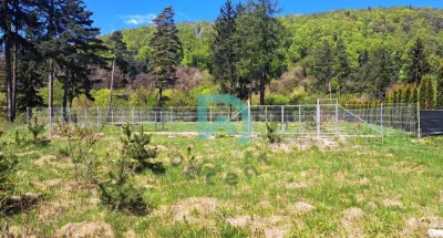 Vand teren constructii Bunloc - foto 4