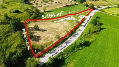 VIDEO | Teren 5.194 m² | 181 metri front la strada Principala (DJ 182C) | Servicii - foto 2