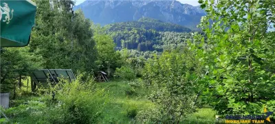 Complex turistic cu traditie, Rezervatia Naturala Piata Craiului drumul spre Plaiu Foii , cu 7700 mp teren - foto 12