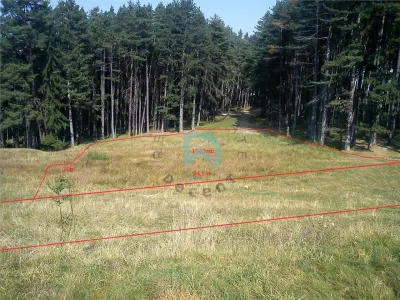 Teren Poiana Angelescu, Sacele, Brasov - foto 2