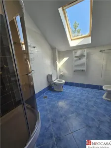 IANCU NICOLAE, S+P+1, 6 CAMERE, 410 MP, PISCINA, CURTE SUPERBA! - foto 21