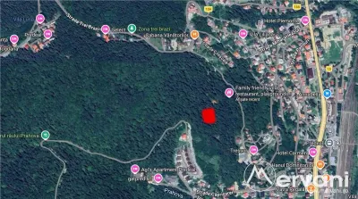 Teren de vanzare in Predeal - foto 2