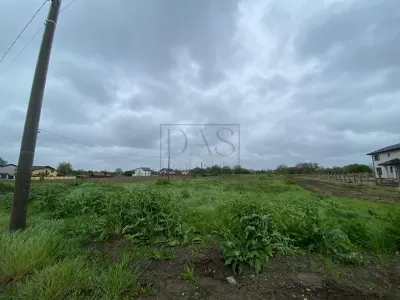 Teren intravilan | 3993 mp | Ciorogarla, Ilfov | Utilitati - foto 12