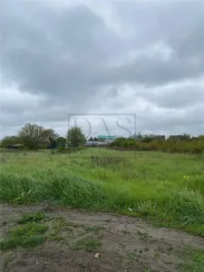 Teren intravilan | 3993 mp | Ciorogarla, Ilfov | Utilitati - foto 15