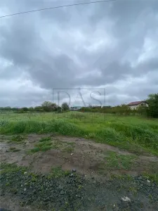 Teren intravilan | 3993 mp | Ciorogarla, Ilfov | Utilitati - foto 16