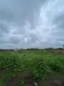 Teren intravilan | 3993 mp | Ciorogarla, Ilfov | Utilitati - foto 7