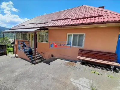 Vanzare casa cu anexe si 5500 mp teren, Valea Ariesului, Salciua - Turda