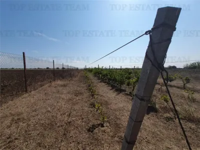 Teren intravilan agricol si teren curti constructii Lot 2 Parcela A326/49 - foto 7