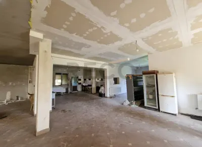 RECO Pensiune+sala de evenimente 150 locuri, 470 mp utili in Petreasa, com. Remetea, la gri. Oportunitate investitie. - foto 9