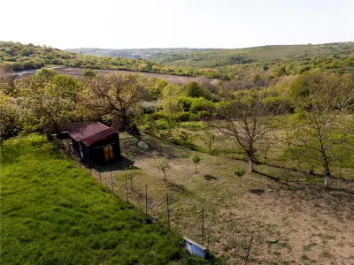 RECO Teren, zona Gheorghe Doja Saldabagiu de Munte, 1129 mp, panorama - foto 2