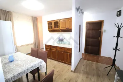 Apartament 2 camere , centrala proprie , zona Bucovina - foto 3