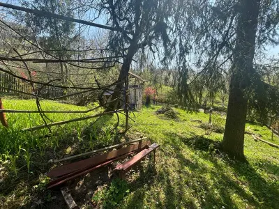 Casa cu teren - foto 2