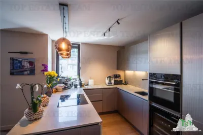 Penthouse 4 camere cu terasa de vanzare in zona Herastrau Bucuresti - foto 9