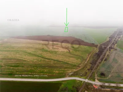 RECO Teren extravilan 5800 mp Livada de Bihor - foto 3