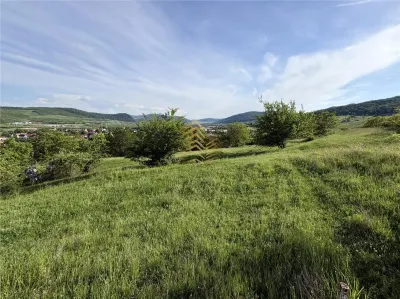 TEREN EXTRAVILAN 30 ARI | VIISOARA - foto 3