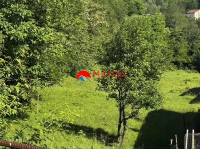 TEREN INTRAVILAN DE VANZARE IN POIANA CAMPINA | 3.526 MP | - foto 2