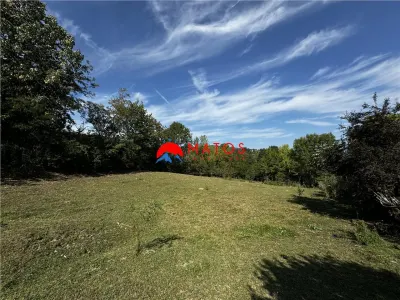TEREN INTRAVILAN DE VANZARE IN POIANA CAMPINA | 3.526 MP | - foto 12