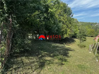 TEREN INTRAVILAN DE VANZARE IN POIANA CAMPINA | 3.526 MP | - foto 14