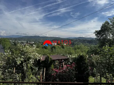 TEREN INTRAVILAN DE VANZARE IN POIANA CAMPINA | 3.526 MP | - foto 3