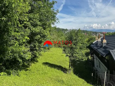 TEREN INTRAVILAN DE VANZARE IN POIANA CAMPINA | 3.526 MP | - foto 5