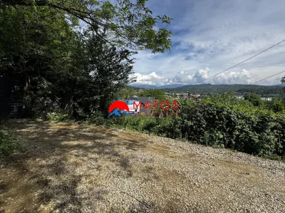 TEREN INTRAVILAN DE VANZARE IN POIANA CAMPINA | 3.526 MP | - foto 7