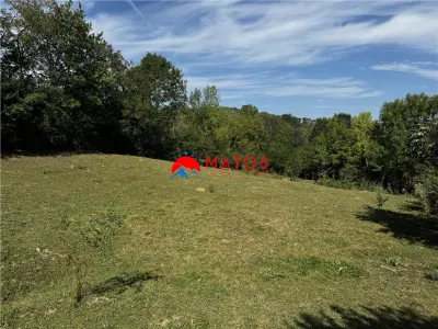 TEREN INTRAVILAN DE VANZARE IN POIANA CAMPINA | 3.526 MP | - foto 8