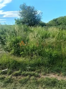 Teren de vanzare Valea Lungă - Holboca - foto 3