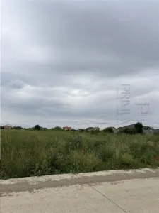 Teren- Mosnita Noua- Toate utilitatile+ strada betonata - Mosnita Noua