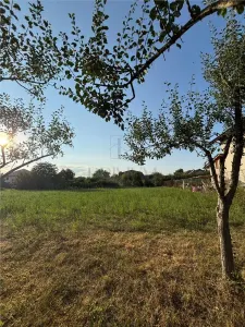 Teren- Mosnita Veche- Toate utilitatile- Vatra Satului - foto 2