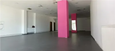 Spatiu comercial 120 mp, open-space vitrina mare - Circumvalatiunii - Bogdanesti - foto 3