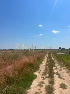 Vanzare teren Chisoda - foto 2