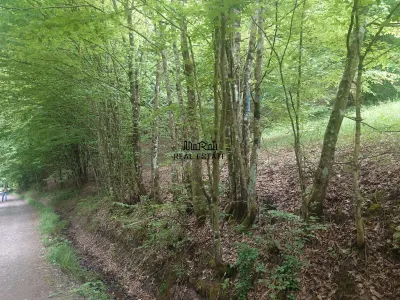 Teren in Bulzestii de Sus 3700mp - Bulzestii de Sus