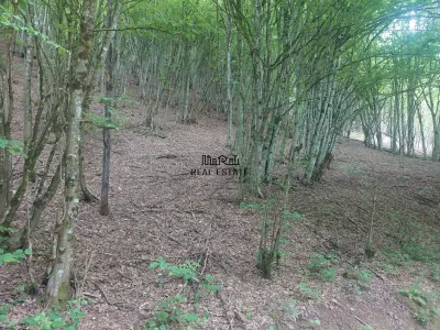 Teren in Bulzestii de Sus 3748mp - Bulzestii de Sus