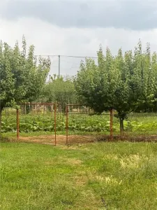 RECO Casa gata de mutat, zona Tileagd, - foto 9