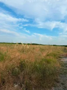 Vanzare teren Sacalaz - foto 4