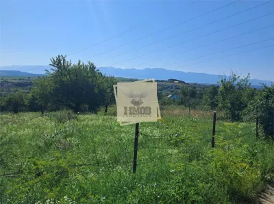 Teren Intravilan 960 mp Daia Noua - Daia