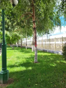 GARSONIERA MARE CU VEDERE LIBERA  / PARCARE-COMPLEX PRIVAT - foto 8