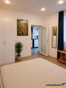 Garsoniera la casa, mobilata, 38mp, pivnita, pod mansardabil, cu teren 20mp, Centrul Istoric, Brasov - Brasov