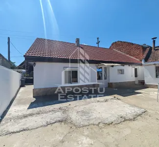 Casa individuala de vanzare, renovata, Sag, Timis - foto 5