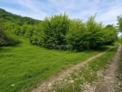 Teren  pentru cabana la liziera padurii Talmaciu - Talmaciu