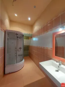 Casa spatioasa cu teren mare, pe colt, in Periam - foto 10