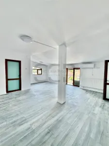 Timpuri Noi metrou, Splaiul Unirii , Vila P+2+M, NEMOBILATA, pretabila BIROURI - foto 8