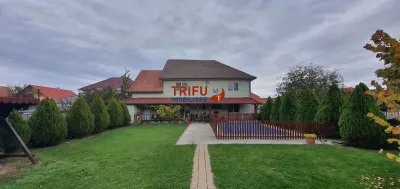 Casa 7 camere 800mp teren si piscina - foto 5