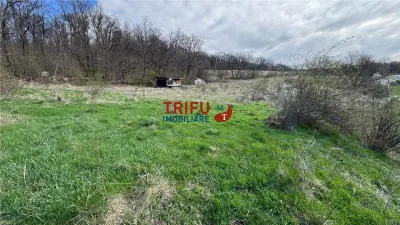 Teren de vanzare pentru cabana langa padure in Ampoita - Ampoita